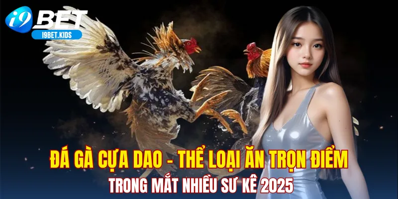 Đá gà cựa dao