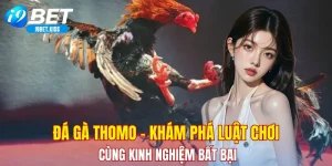 đá gà thomo