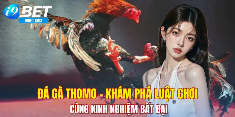 đá gà thomo